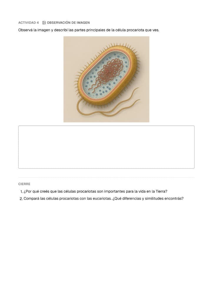 Actividad de observación de imagen sobre célula procariota